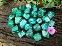 Polished Malacolla Free Forms x 35 From Kulukuluku, Congo