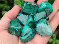 Polished Malacolla Free Forms x 35 From Kulukuluku, Congo