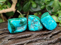 Polished Malacolla Free Forms x 35 From Kulukuluku, Congo