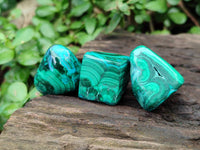 Polished Malacolla Free Forms x 35 From Kulukuluku, Congo