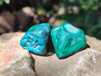 Polished Malacolla Free Forms x 35 From Kulukuluku, Congo