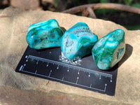 Polished Malacolla Free Forms x 35 From Kulukuluku, Congo