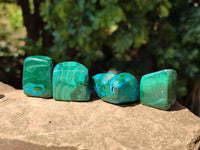 Polished Malacolla Free Forms x 35 From Kulukuluku, Congo