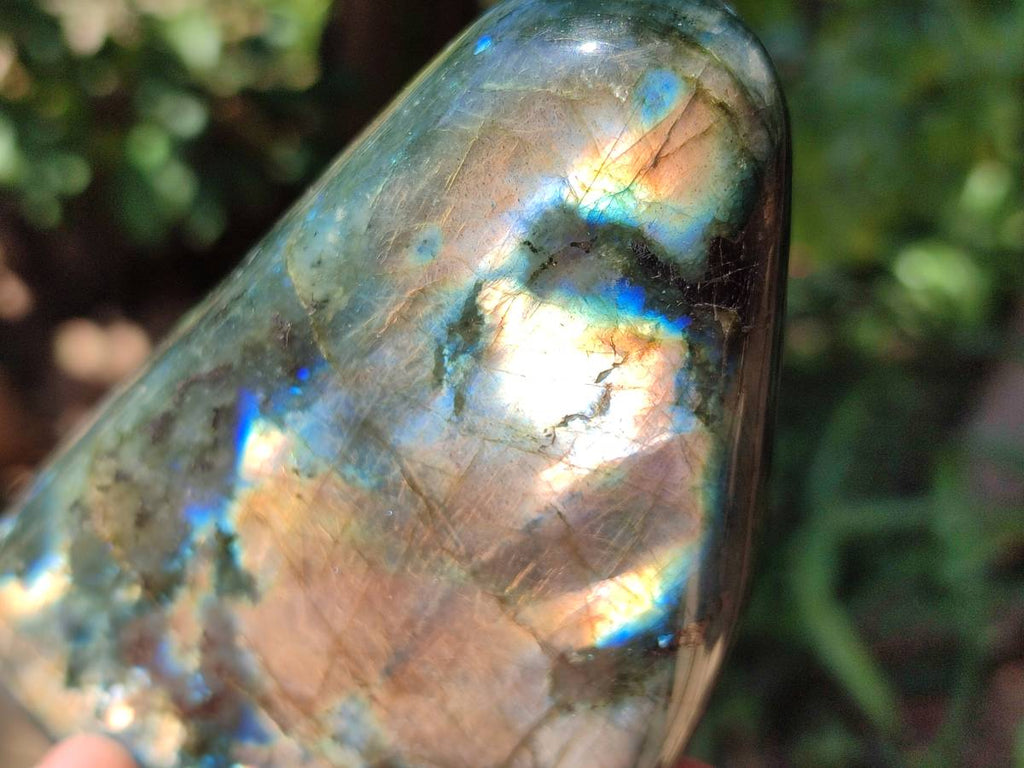 Polished Labradorite Standing Free Forms x 2 From Tulear, Madagascar