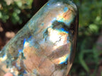 Polished Labradorite Standing Free Forms x 2 From Tulear, Madagascar