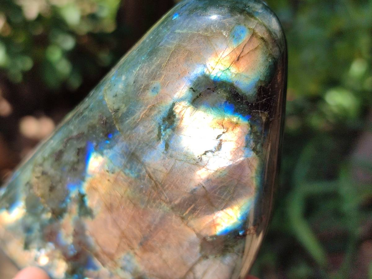 Polished Labradorite Standing Free Forms x 2 From Tulear, Madagascar
