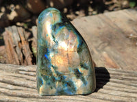 Polished Labradorite Standing Free Forms x 2 From Tulear, Madagascar