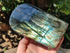Polished Labradorite Standing Free Forms x 2 From Tulear, Madagascar