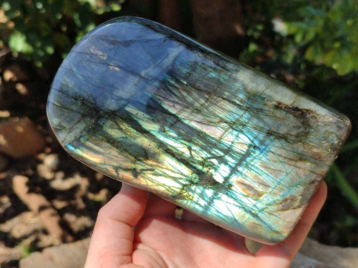 Polished Labradorite Standing Free Forms x 2 From Tulear, Madagascar
