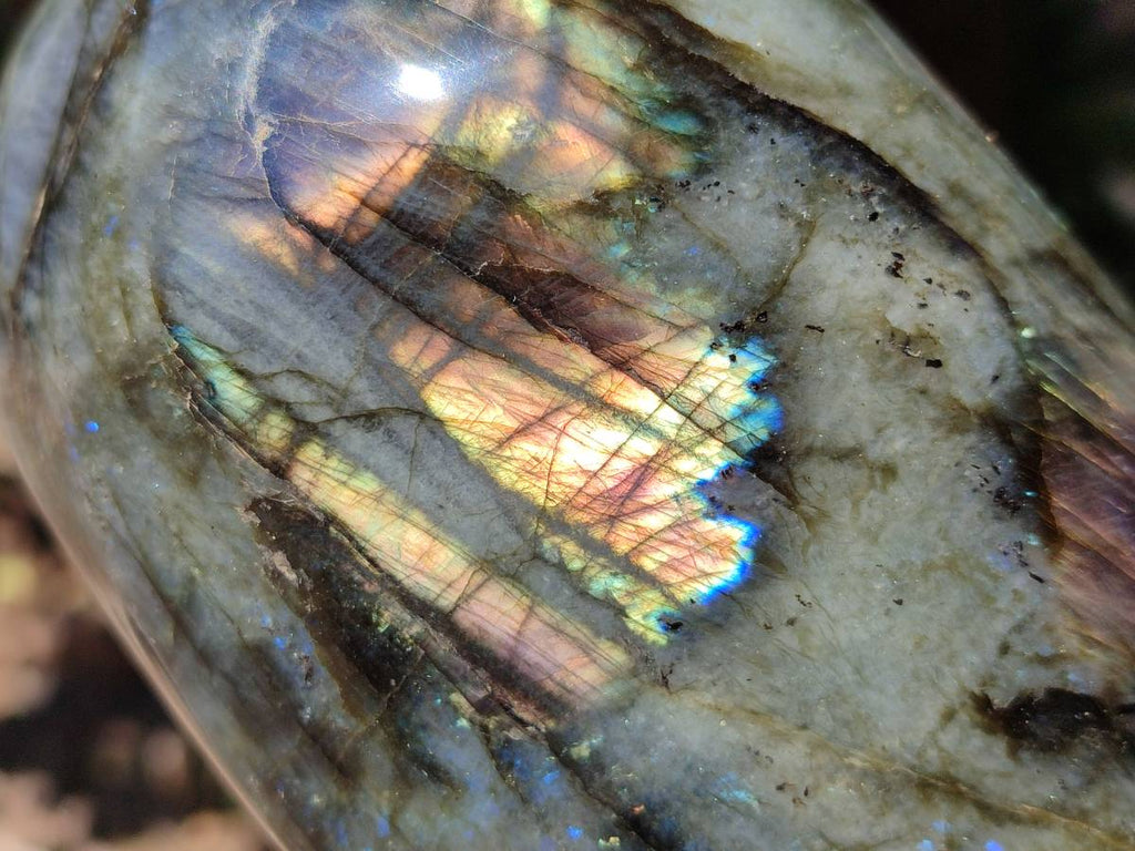 Polished Labradorite Standing Free Forms x 2 From Tulear, Madagascar