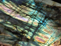 Polished Labradorite Standing Free Forms x 2 From Tulear, Madagascar