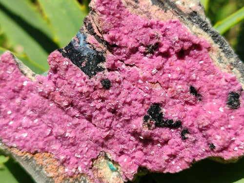Natural Salrose Cobaltion Dolomite Specimens x 4 From Kakanda, Congo - Toprock Gemstones and Minerals 