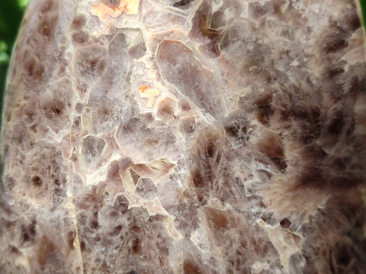 Polished XL Chevron Amethyst Standing Free Form x 1 From Madagascar