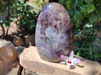 Polished XL Chevron Amethyst Standing Free Form x 1 From Madagascar