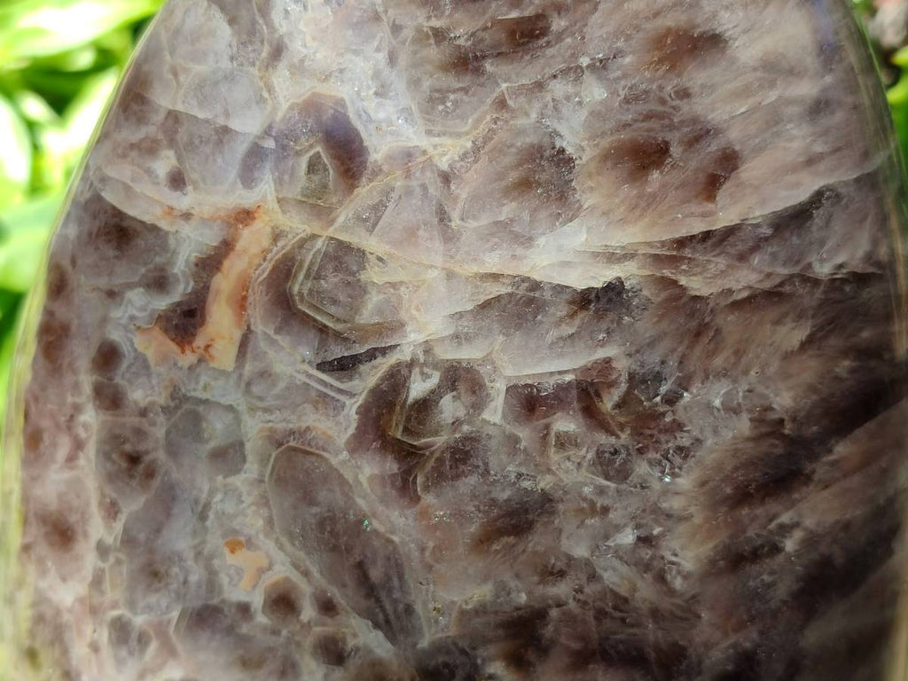 Polished XL Chevron Amethyst Standing Free Form x 1 From Madagascar