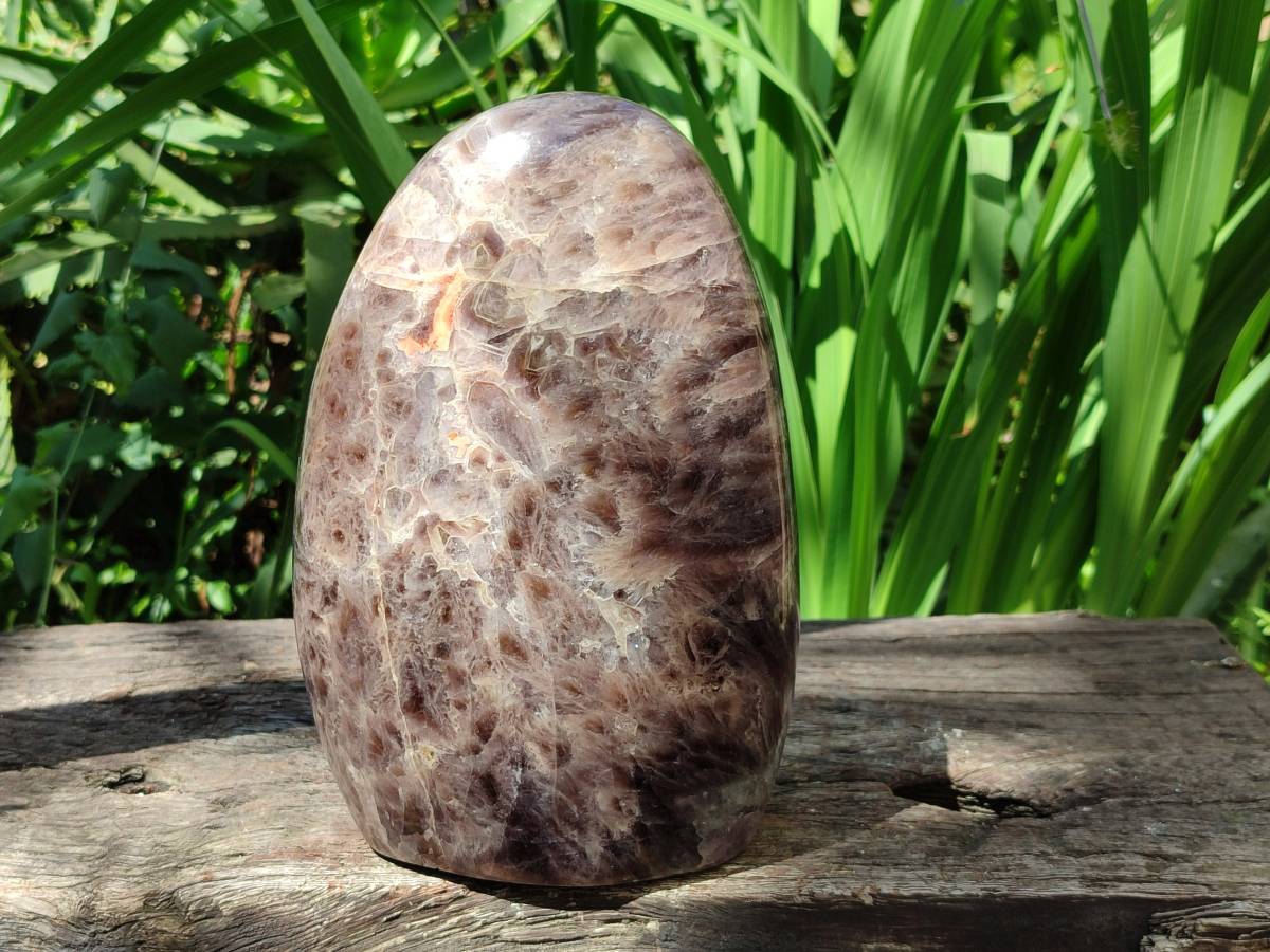 Polished XL Chevron Amethyst Standing Free Form x 1 From Madagascar