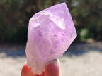 Natural Jacaranda Amethyst Quartz Crystals x 12 From Mumbwa, Zambia