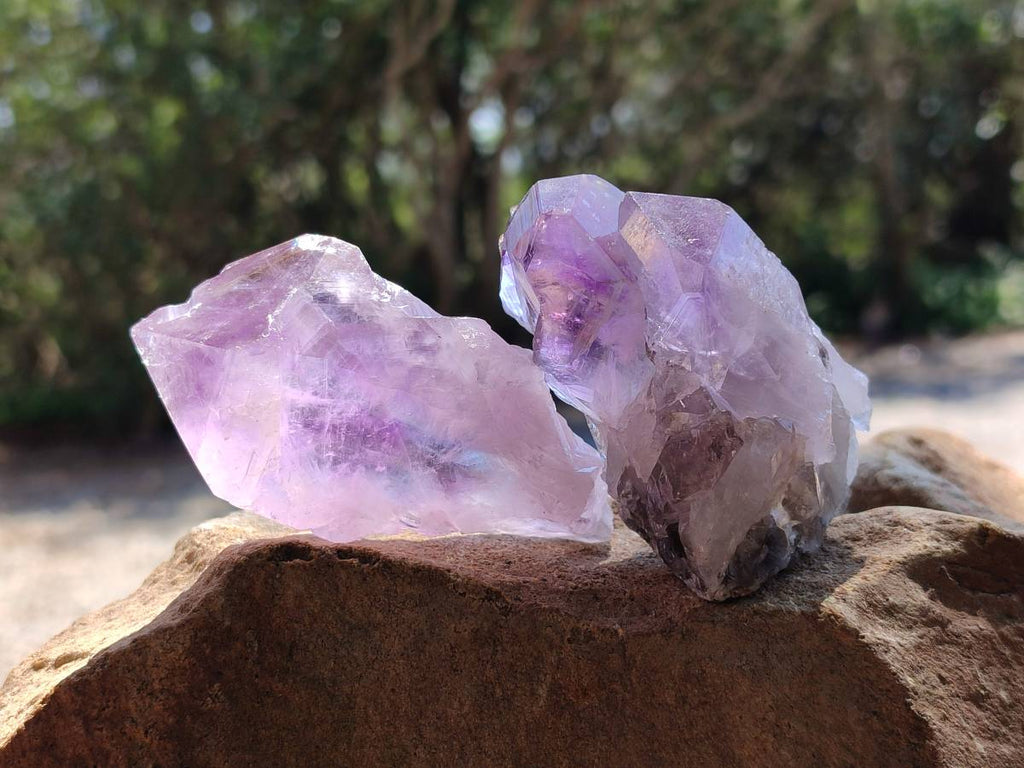 Natural Jacaranda Amethyst Quartz Crystals x 12 From Mumbwa, Zambia