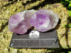 Natural Jacaranda Amethyst Quartz Crystals x 12 From Mumbwa, Zambia