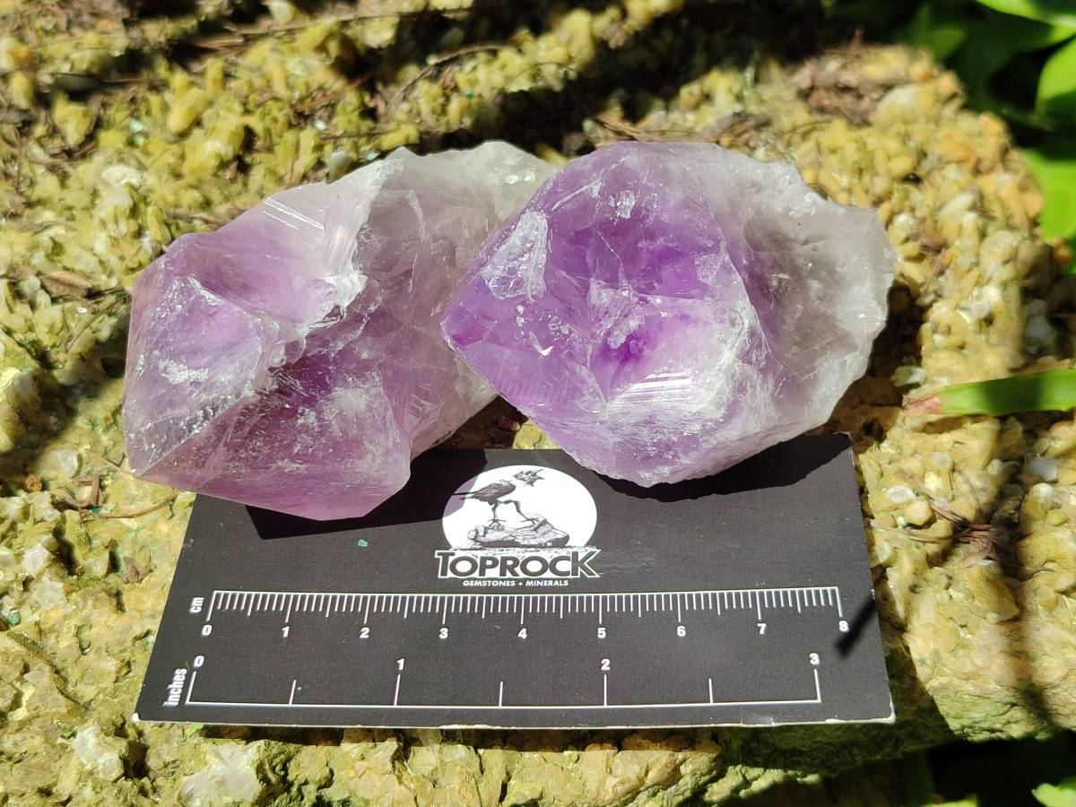 Natural Jacaranda Amethyst Quartz Crystals x 12 From Mumbwa, Zambia
