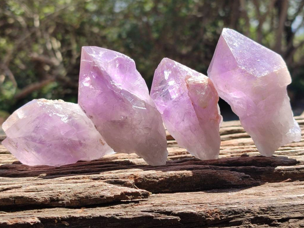 Natural Jacaranda Amethyst Quartz Crystals x 12 From Mumbwa, Zambia