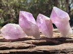 Natural Jacaranda Amethyst Quartz Crystals x 12 From Mumbwa, Zambia