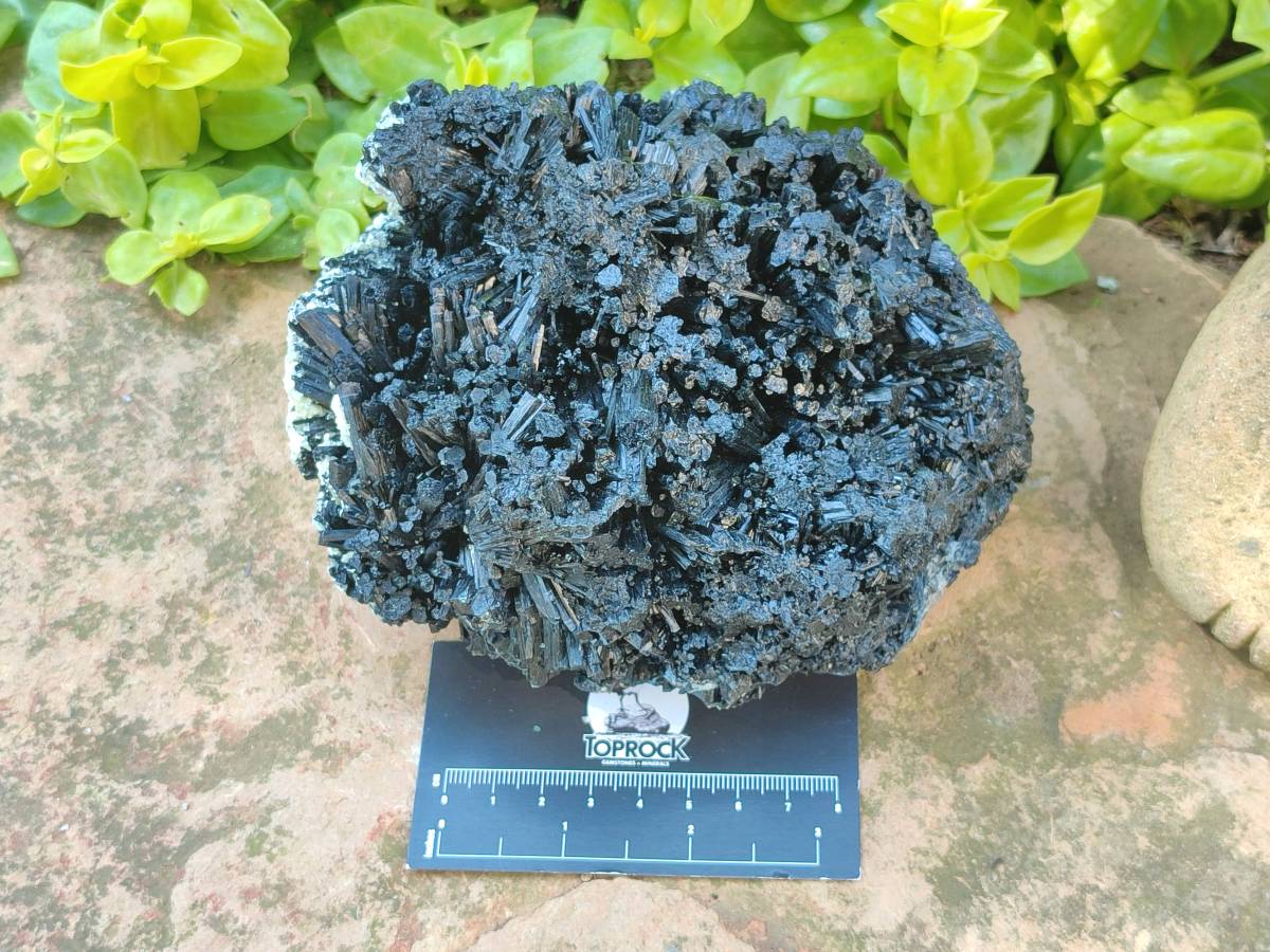 Natural Schorl Black Tourmaline With Vermiculite Specimen x 1 From Erongo, Namibia
