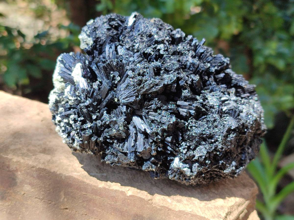 Natural Schorl Black Tourmaline With Vermiculite Specimen x 1 From Erongo, Namibia