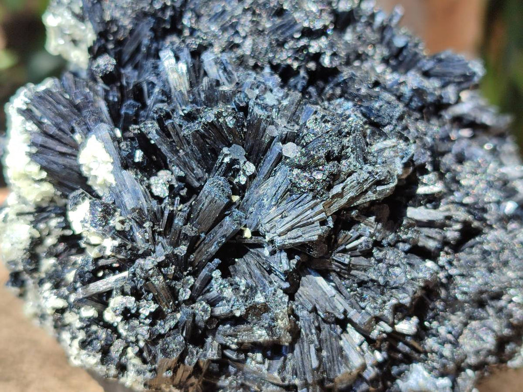 Natural Schorl Black Tourmaline With Vermiculite Specimen x 1 From Erongo, Namibia