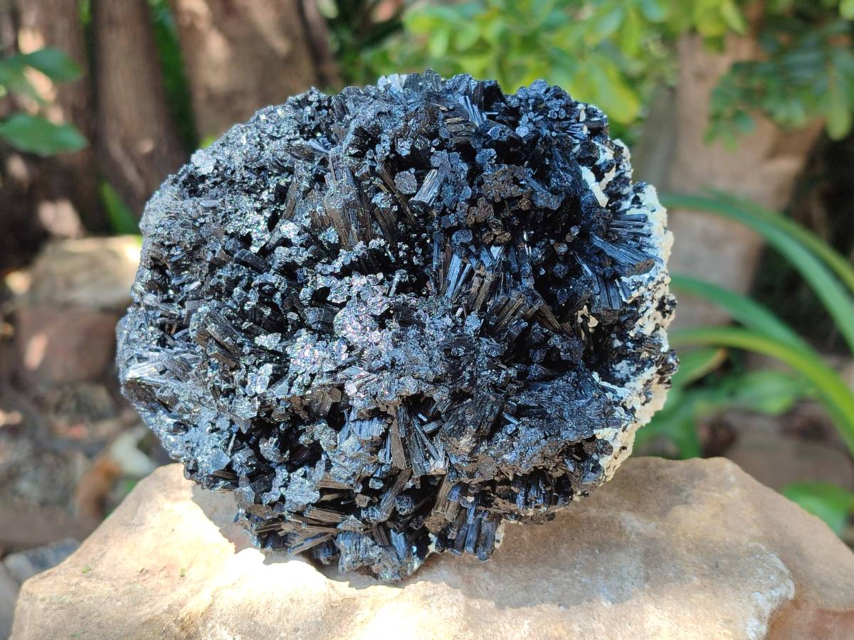 Natural Schorl Black Tourmaline With Vermiculite Specimen x 1 From Erongo, Namibia