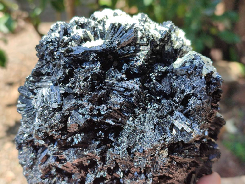 Natural Schorl Black Tourmaline With Vermiculite Specimen x 1 From Erongo, Namibia
