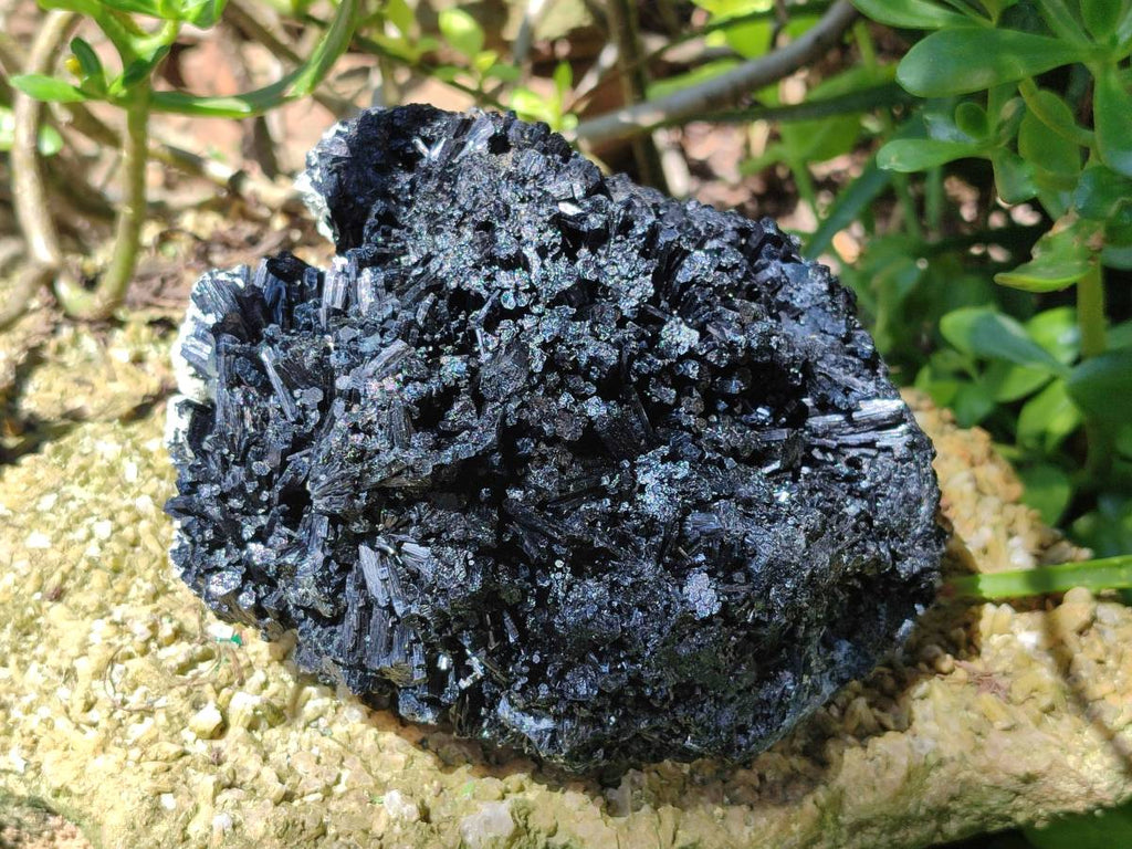 Natural Schorl Black Tourmaline With Vermiculite Specimen x 1 From Erongo, Namibia