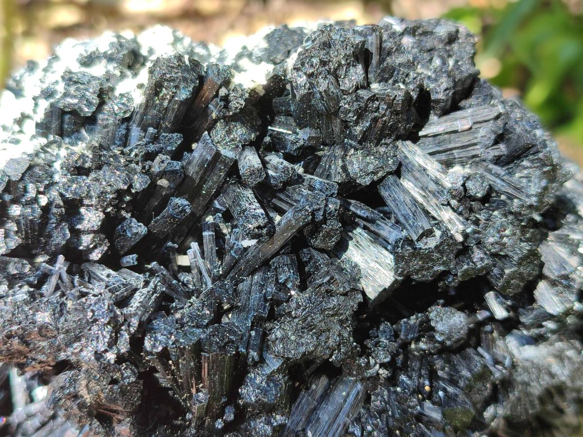 Natural Schorl Black Tourmaline With Vermiculite Specimen x 1 From Erongo, Namibia