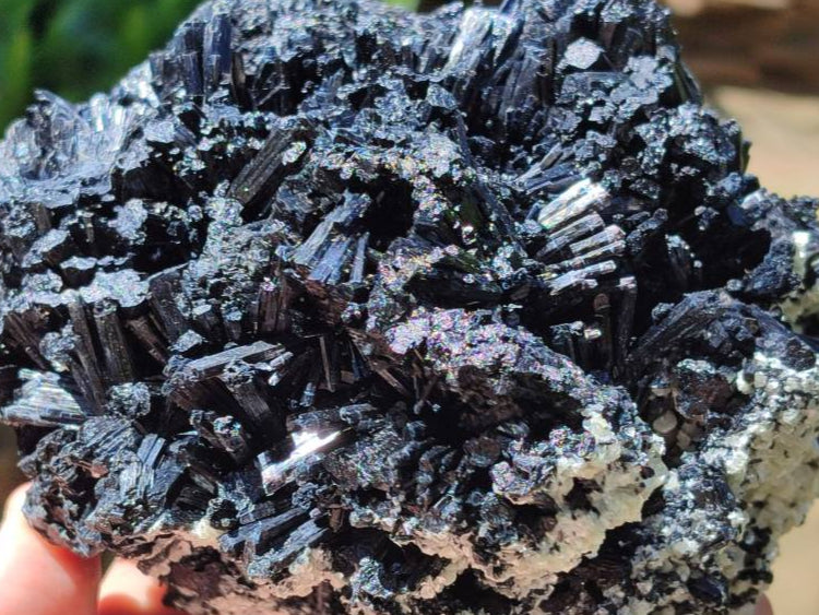 Natural Schorl Black Tourmaline With Vermiculite Specimen x 1 From Erongo, Namibia