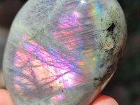 Polished Labradorite Galets x 13 From Tulear, Madagascar
