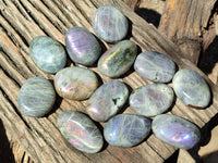 Polished Labradorite Galets x 13 From Tulear, Madagascar
