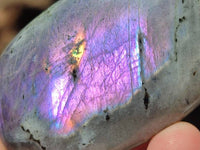 Polished Labradorite Galets x 13 From Tulear, Madagascar