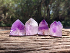 Polished Window Amethyst Crystals x 20 From Akansobe, Madagascar - Toprock Gemstones and Minerals 