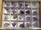 Polished Window Amethyst Crystals x 20 From Akansobe, Madagascar - Toprock Gemstones and Minerals 