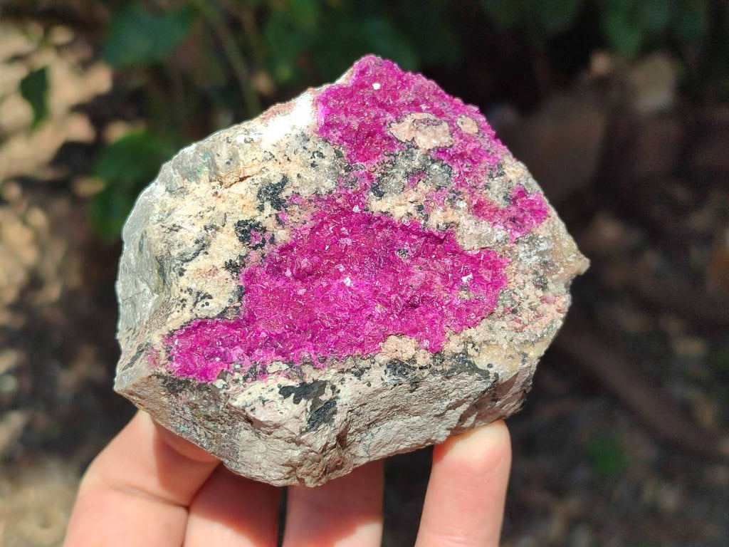 Natural Salrose Cobaltion Dolomite Specimens x 6 From Kakanda, Congo