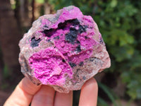 Natural Salrose Cobaltion Dolomite Specimens x 6 From Kakanda, Congo