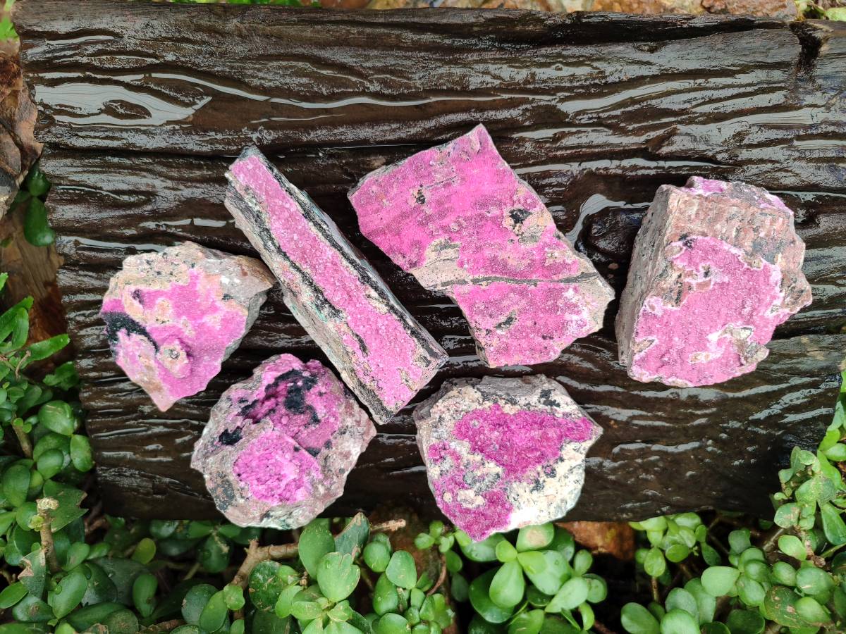 Natural Salrose Cobaltion Dolomite Specimens x 6 From Kakanda, Congo