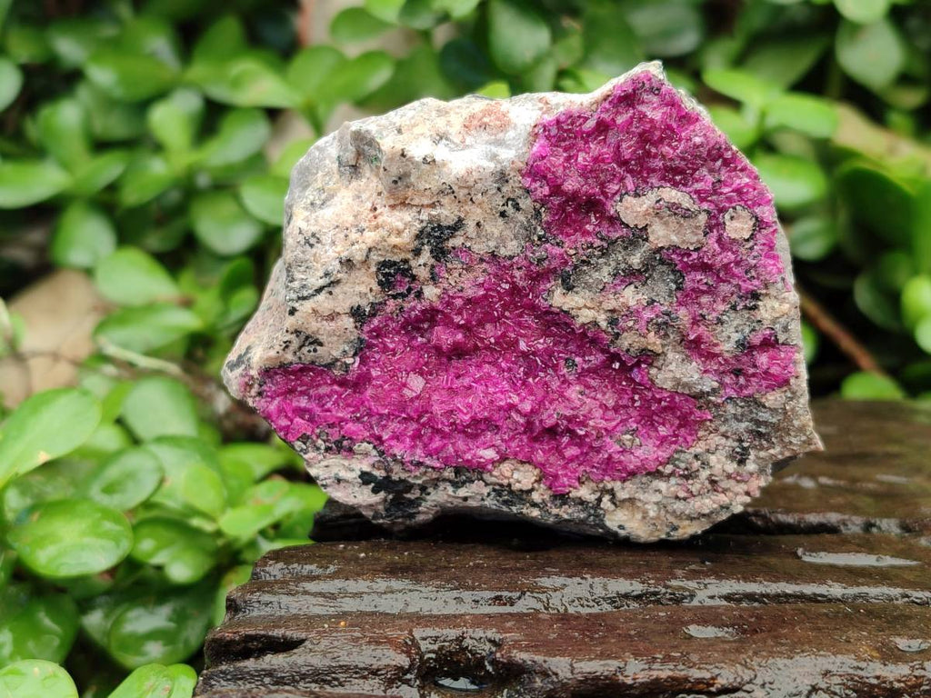 Natural Salrose Cobaltion Dolomite Specimens x 6 From Kakanda, Congo