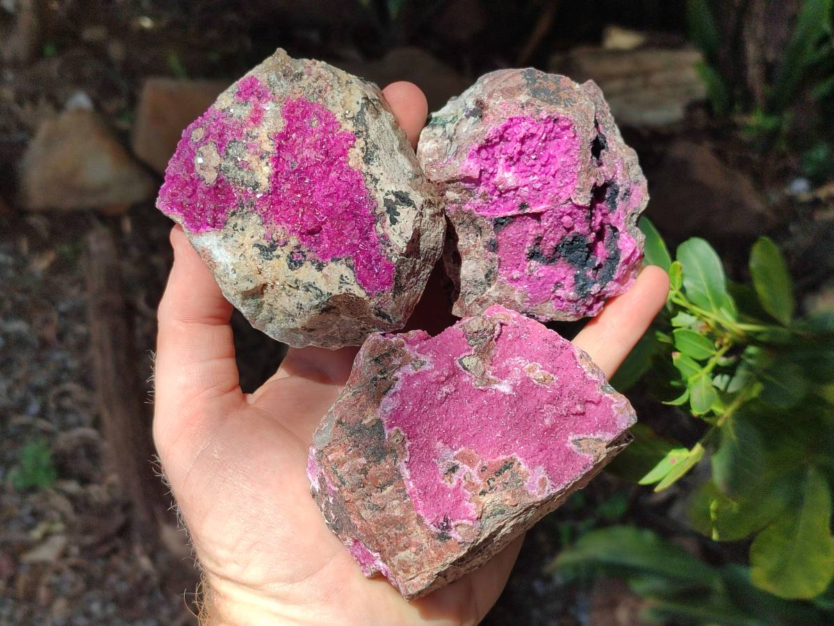 Natural Salrose Cobaltion Dolomite Specimens x 6 From Kakanda, Congo
