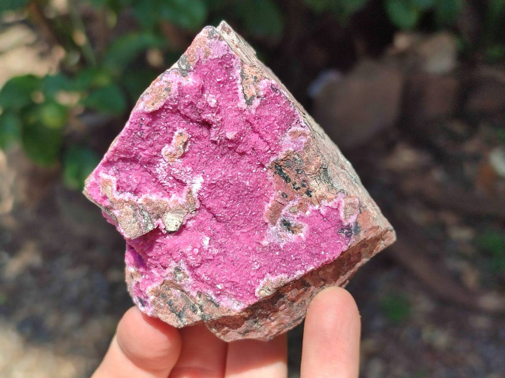 Natural Salrose Cobaltion Dolomite Specimens x 6 From Kakanda, Congo