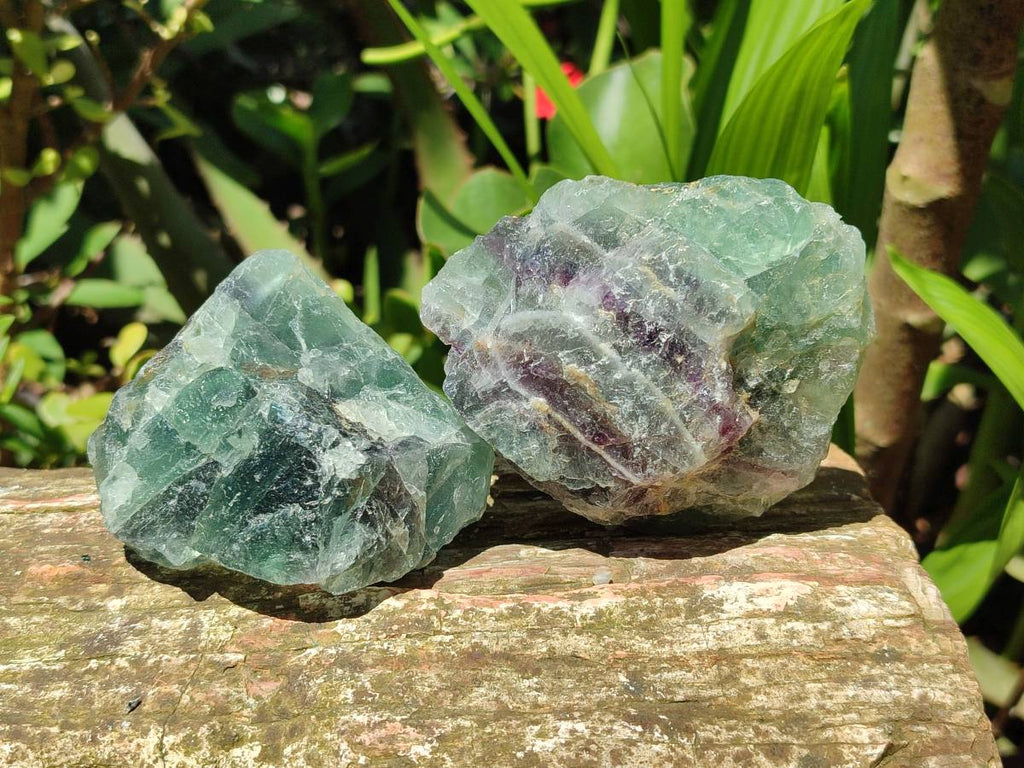 Natural Watermelon Fluorite Cobbed Specimens x 12 From Uis, Namibia