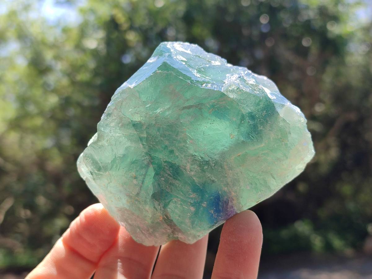 Natural Watermelon Fluorite Cobbed Specimens x 12 From Uis, Namibia