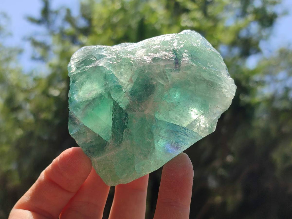 Natural Watermelon Fluorite Cobbed Specimens x 12 From Uis, Namibia