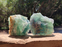 Natural Watermelon Fluorite Cobbed Specimens x 12 From Uis, Namibia