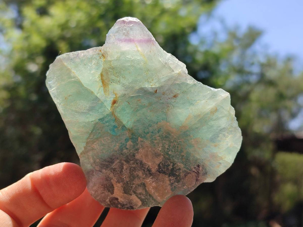 Natural Watermelon Fluorite Cobbed Specimens x 12 From Uis, Namibia